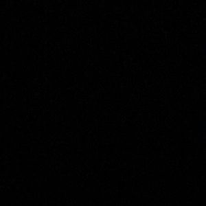 Meet your Posher, Ava